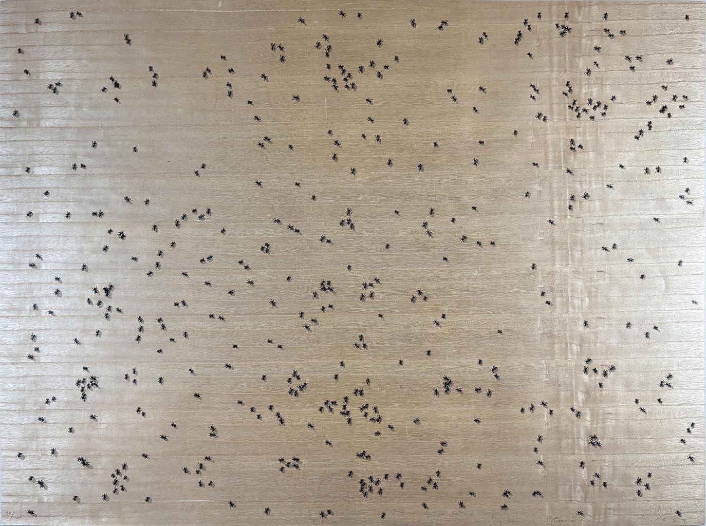 Black Ants from the Insects Portfolio by Ed Ruscha
