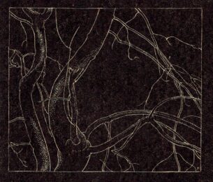 Branches by Lionel LeMoine Fitzgerald at Jan Johnson Old Master Modern Prints