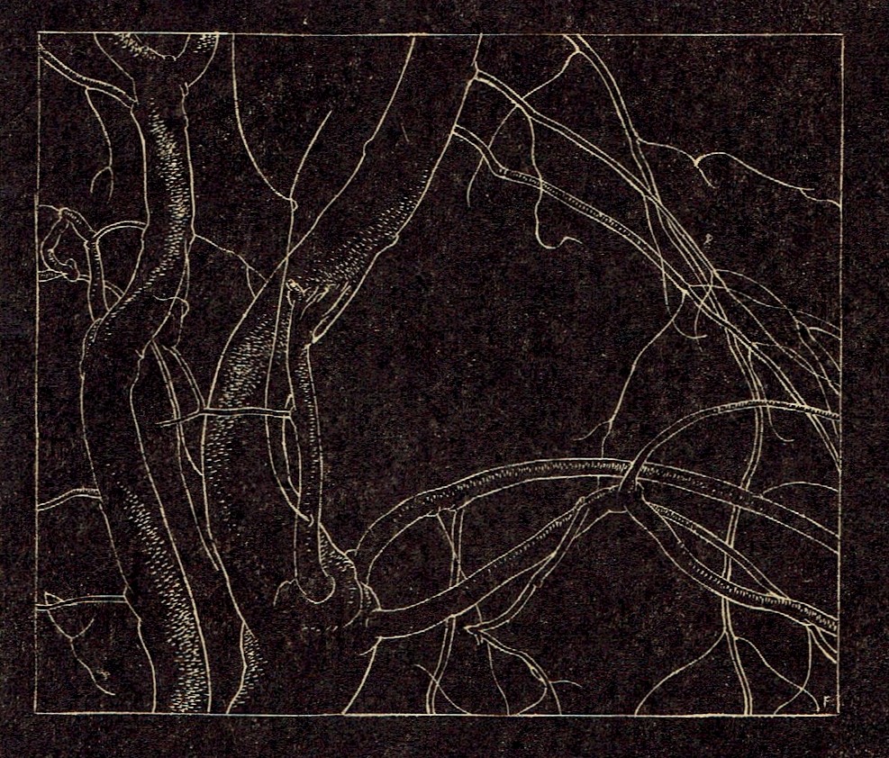 Branches by Lionel LeMoine Fitzgerald
