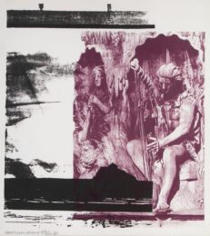 Broken Harp by Robert Rauschenberg at Michael Lisi/Contemporary Art