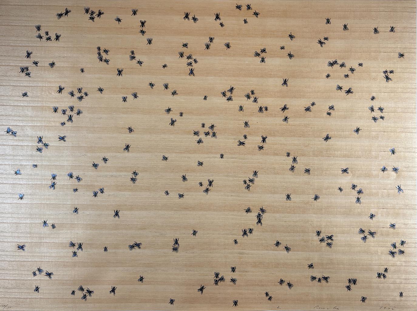 Flies from the Insects Portfolio by Ed Ruscha