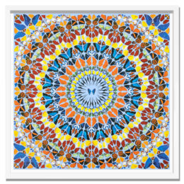 Kindness by Damien Hirst at Taglialatella Galleries