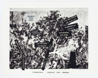 It reminds me of something I can’t remember by William Kentridge at David Krut Projects