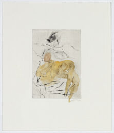 Isikhumbuzo II (Remembrance) by Nthabiseng Kekana at David Krut Projects