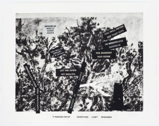 It reminds me of something I can’t remember by William Kentridge at David Krut Projects