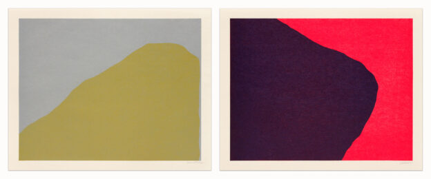 Irregular Forms by Sol LeWitt at Krakow Witkin Gallery