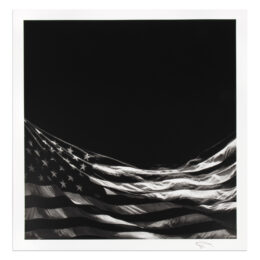 Untitled (Falling Flag) by Robert Longo at MLTPL