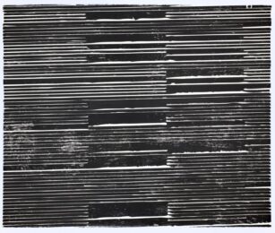 Veneer II by Mary Wafer at David Krut Projects