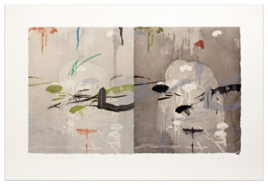 Mountain Dragonfly II (diptych) by Michael Mazur at Krakow Witkin Gallery