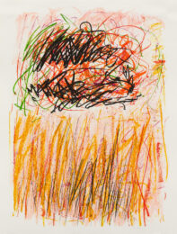 Flower i by Joan Mitchell at Susan Sheehan Gallery