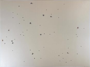 Pearl Dust Combination from the Insects Portfolio by Ed Ruscha at Hamilton-Selway Fine Art