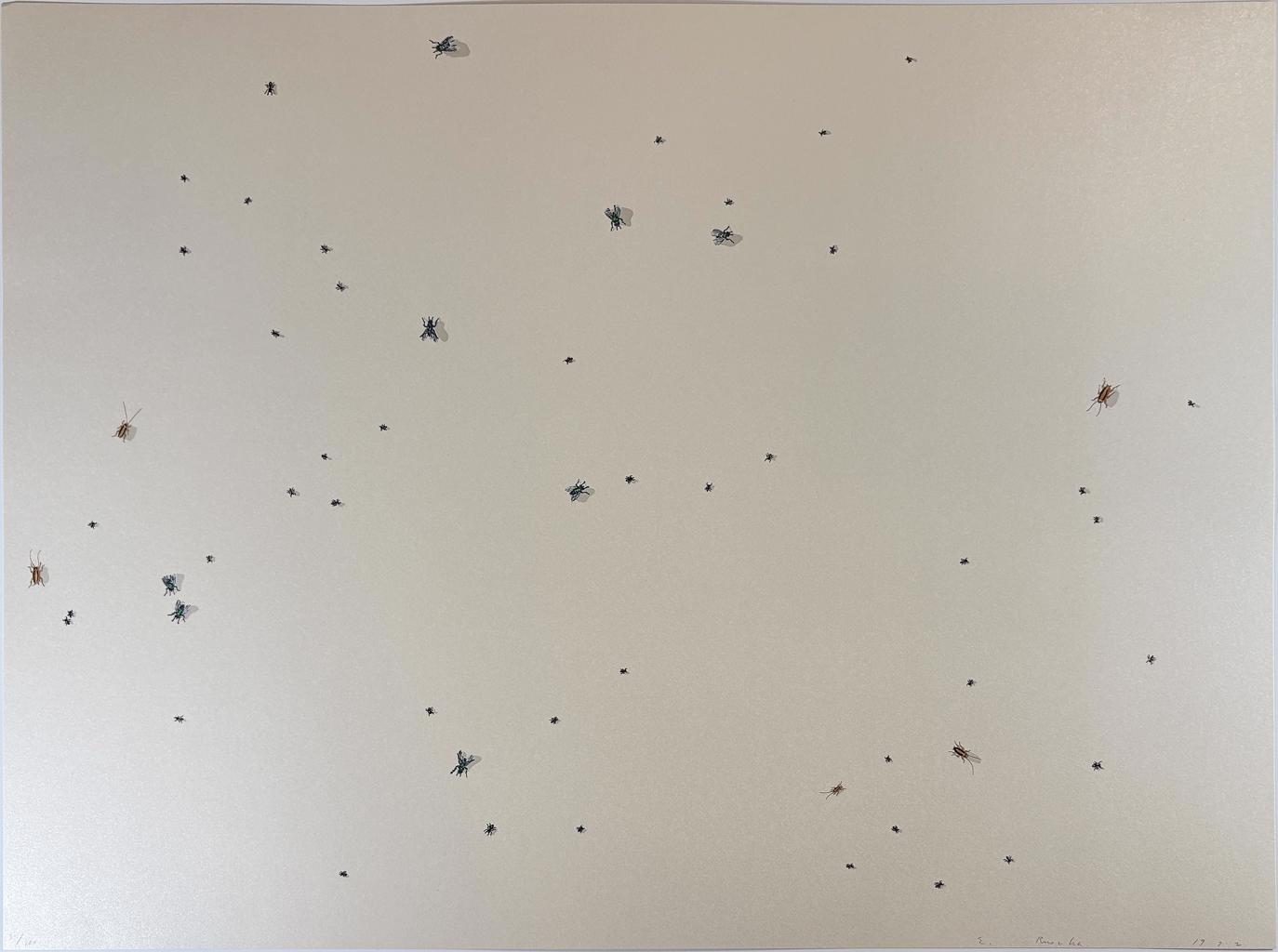 Pearl Dust Combination from the Insects Portfolio by Ed Ruscha