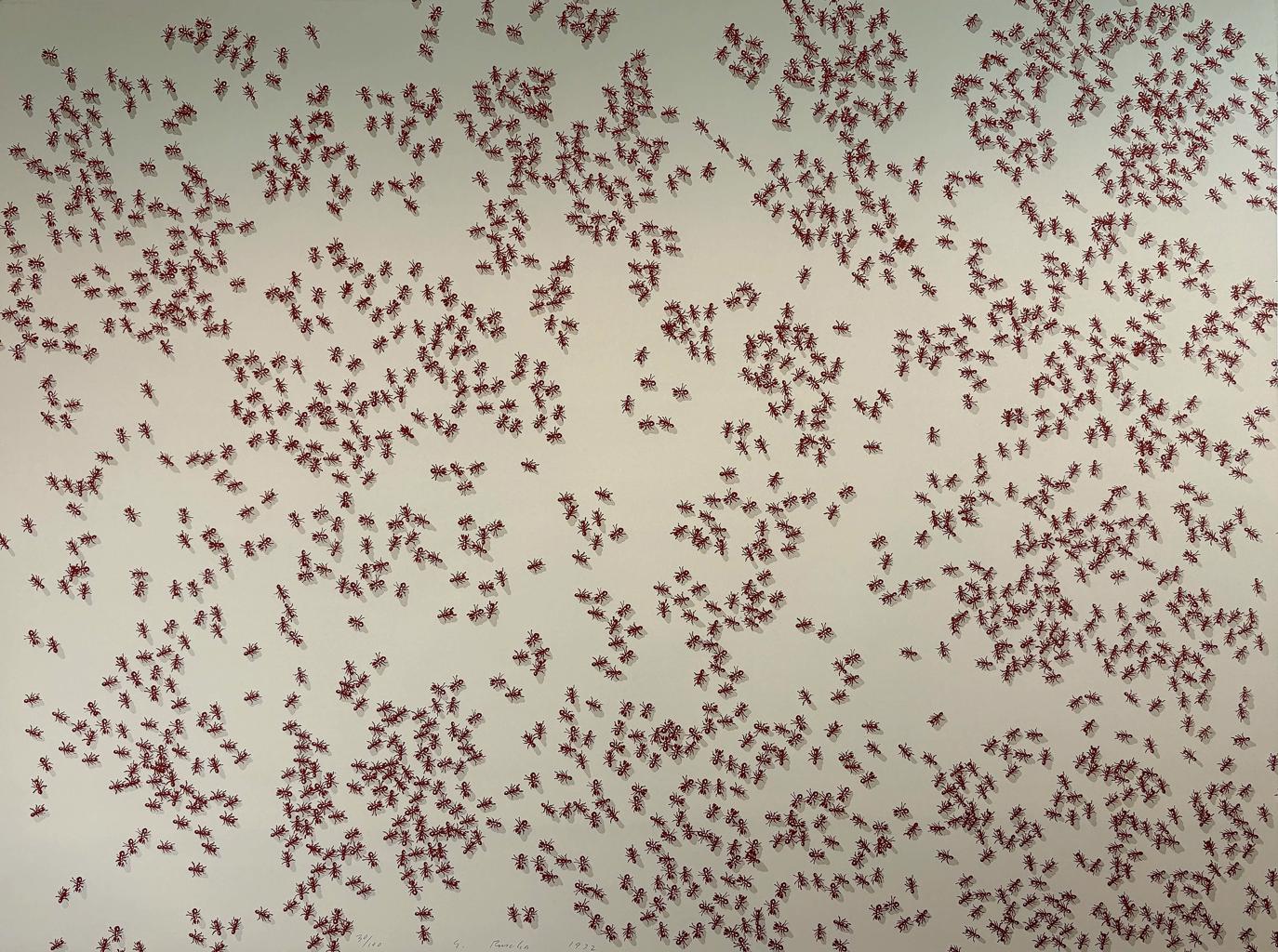 Red Ants from the Insects Portfolio by Ed Ruscha