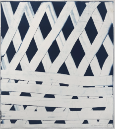 Untitled by Jennifer Marshall at Jungle Press Editions