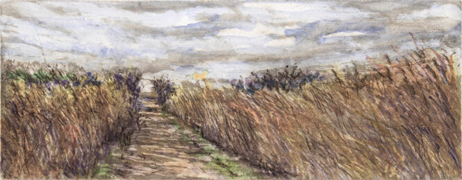Shore Winds 3 by Judy Wolgast at Oehme Graphics