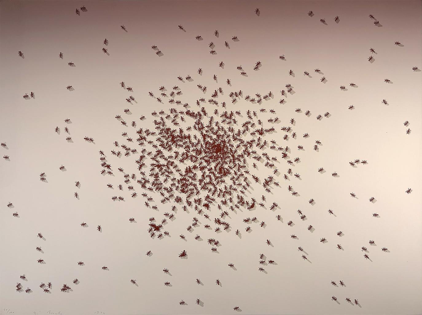 Swarm of Red Ants from the Insects Portfolio by Ed Ruscha