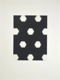 Untitled by David Ortins at Center Street Studio