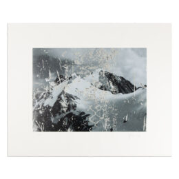 Untitled by Rudolf Stingel at MLTPL