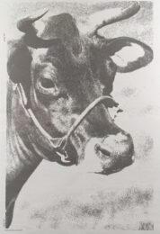 Venice Biennale COW by Andy Warhol at Michael Lisi/Contemporary Art