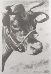 Venice Biennale COW by Andy Warhol at Michael Lisi/Contemporary Art