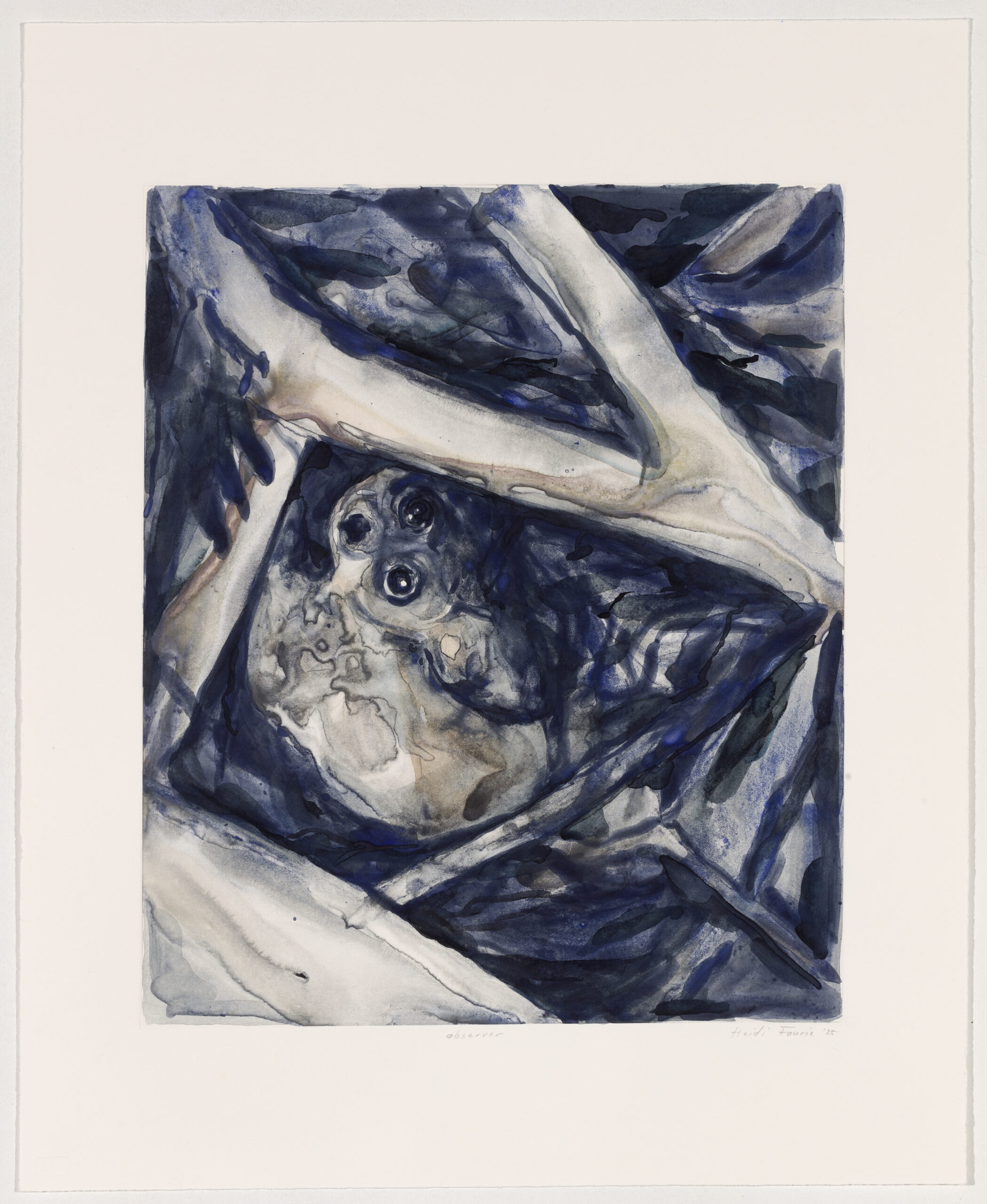 observer by Heidi Fourie