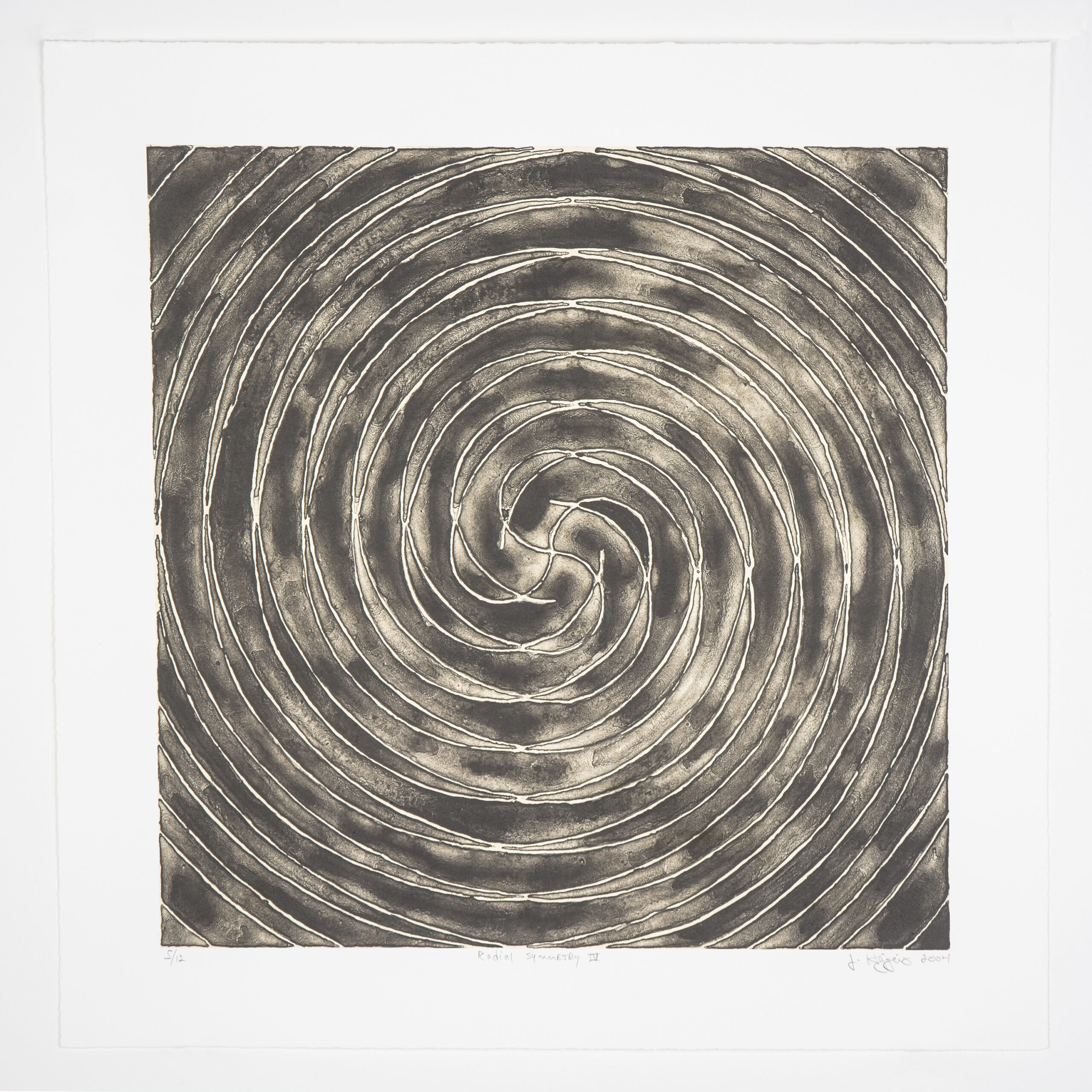 Radial Symmetry IV by Jonathan Higgins