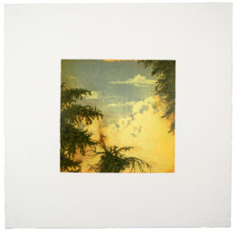 Untitled by Joan Nelson at Cirrus Gallery + Cirrus Editions Ltd.