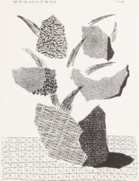 Flowers in Basket on Table Cloth by David Hockney at Clifton Gallery
