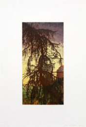 Untitled (Tree) by Joan Nelson at Cirrus Gallery + Cirrus Editions Ltd.