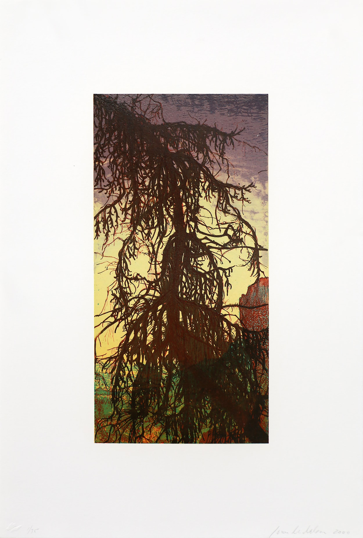 Untitled (Tree) by Joan Nelson
