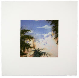Untitled by Joan Nelson at Cirrus Gallery + Cirrus Editions Ltd.