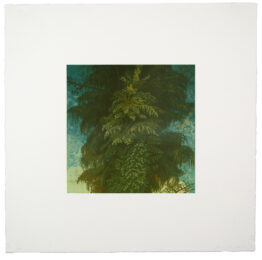 Untitled by Joan Nelson at Cirrus Gallery + Cirrus Editions Ltd.