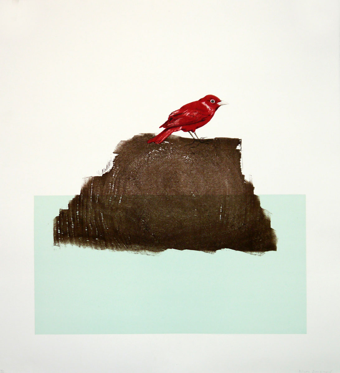 The Northern Cardinal (or Redbird) by Blaise Drummond