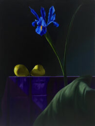 Purple Still Life with Green Pillow by Bruce Cohen at Leslie Sacks Gallery