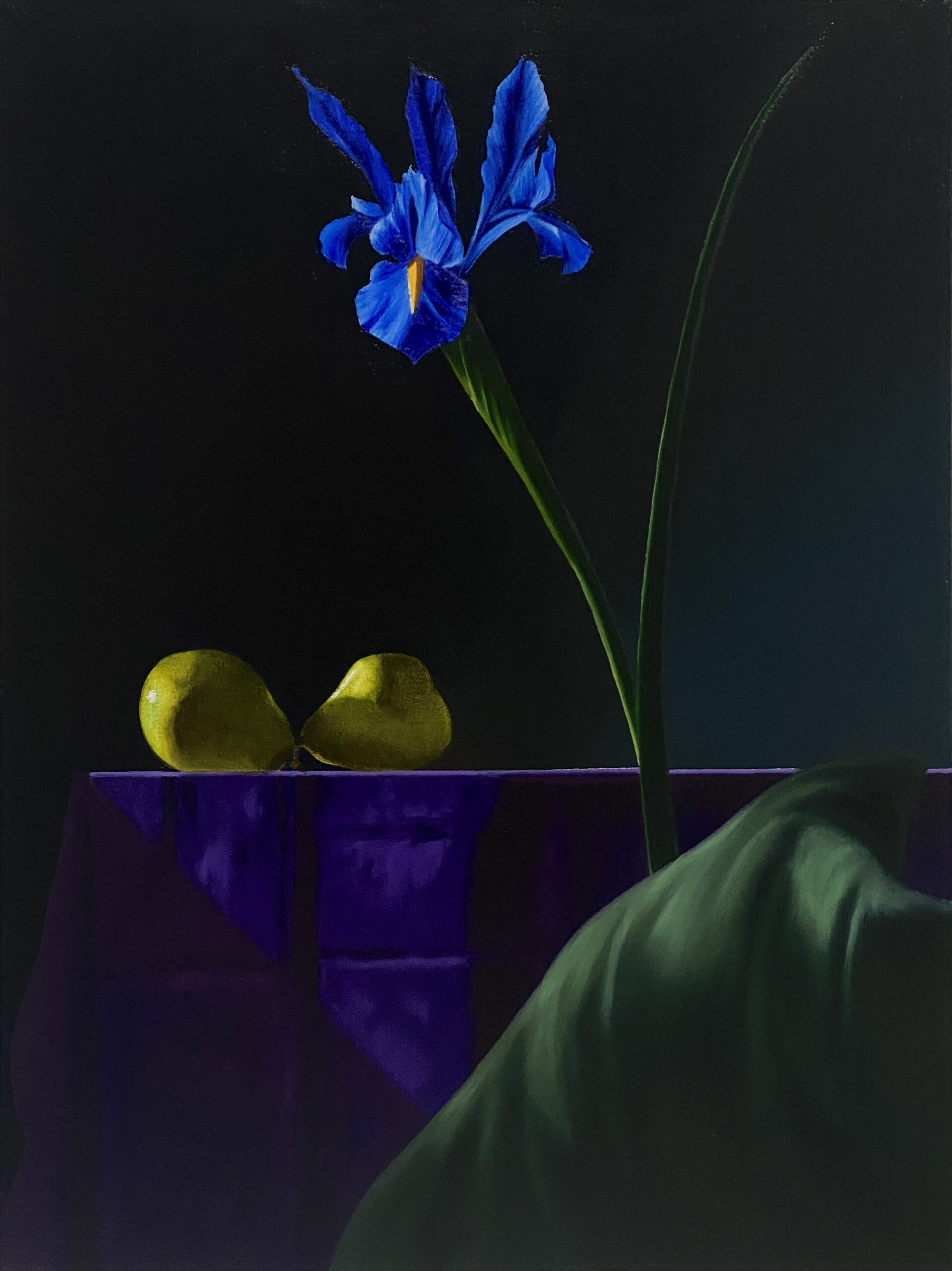 Purple Still Life with Green Pillow by Bruce Cohen