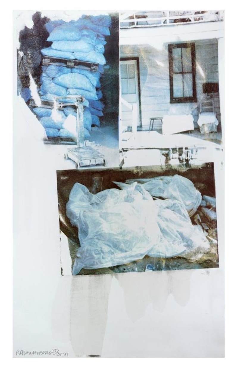 Daydream (Speculations) by Robert Rauschenberg