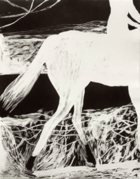 White Lights II by Marc Desgrandchamps at Michael Woolworth