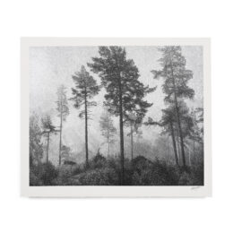 Even When The Fog Lies Thick And Heavy by Danny Larsen at RedHouse Gallery