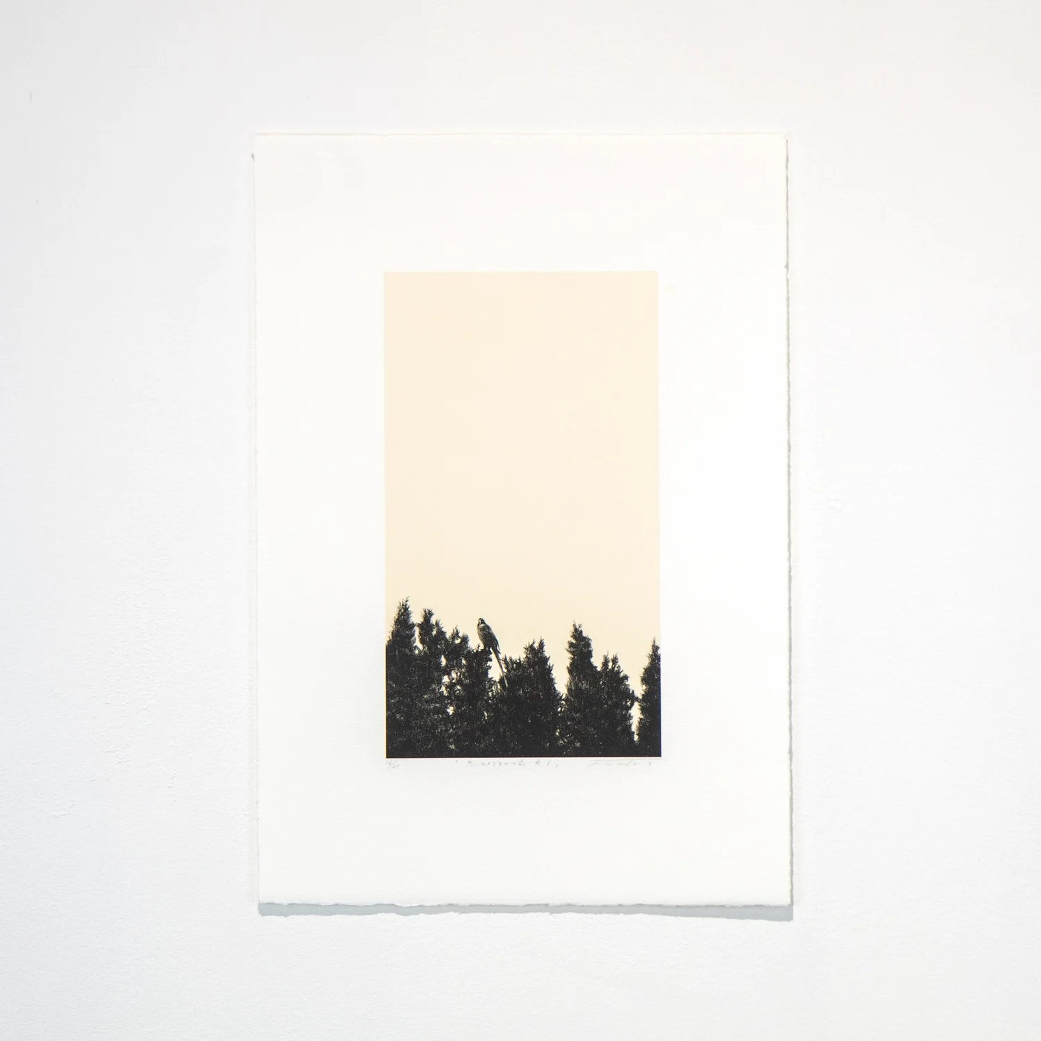 Further than it seems #1 by Fumiko Suzuki