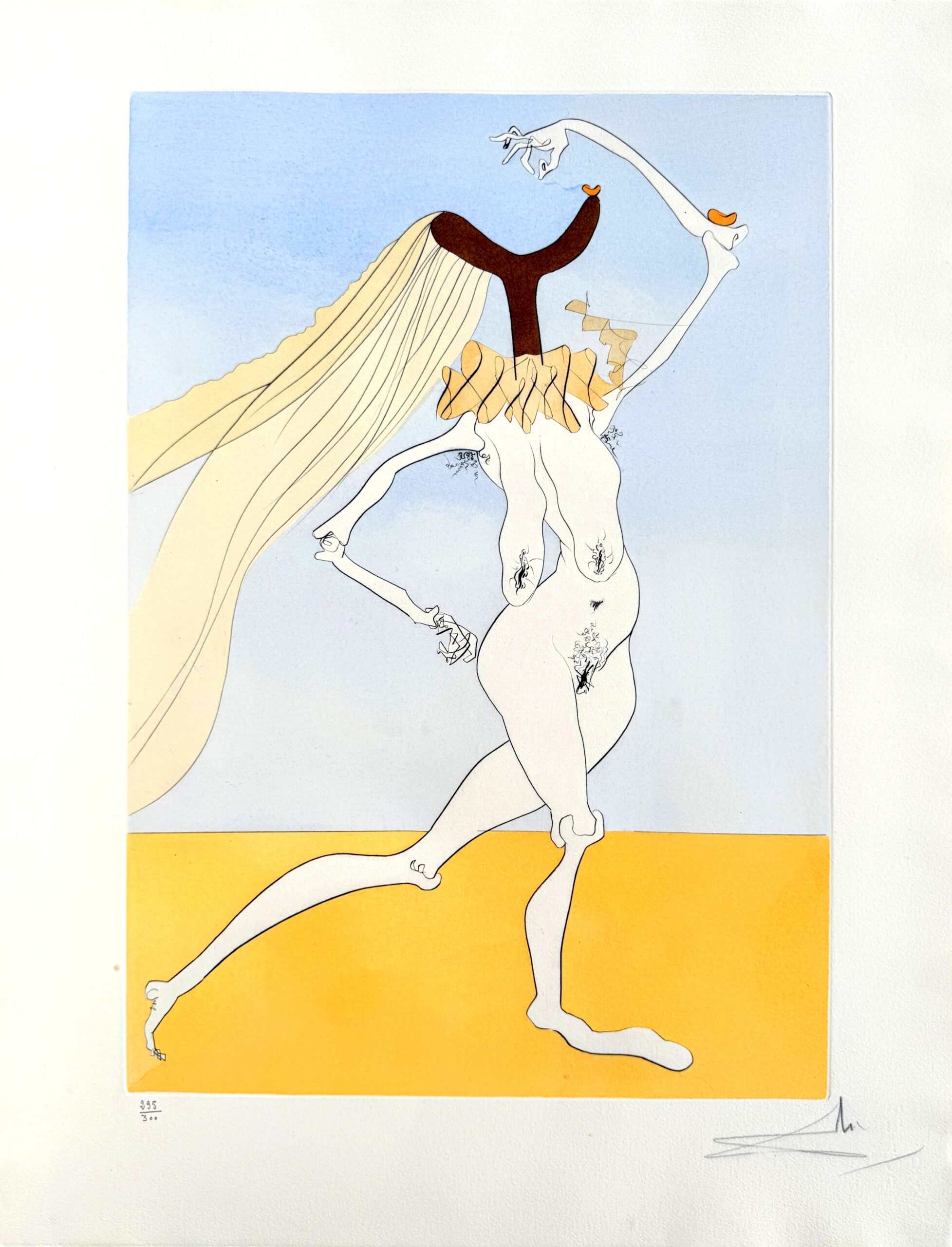 Quevedos Visioner, Planche III by Salvador Dalí