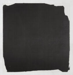 Jardin noir 2 by Stéphane Bordarier at Michael Woolworth