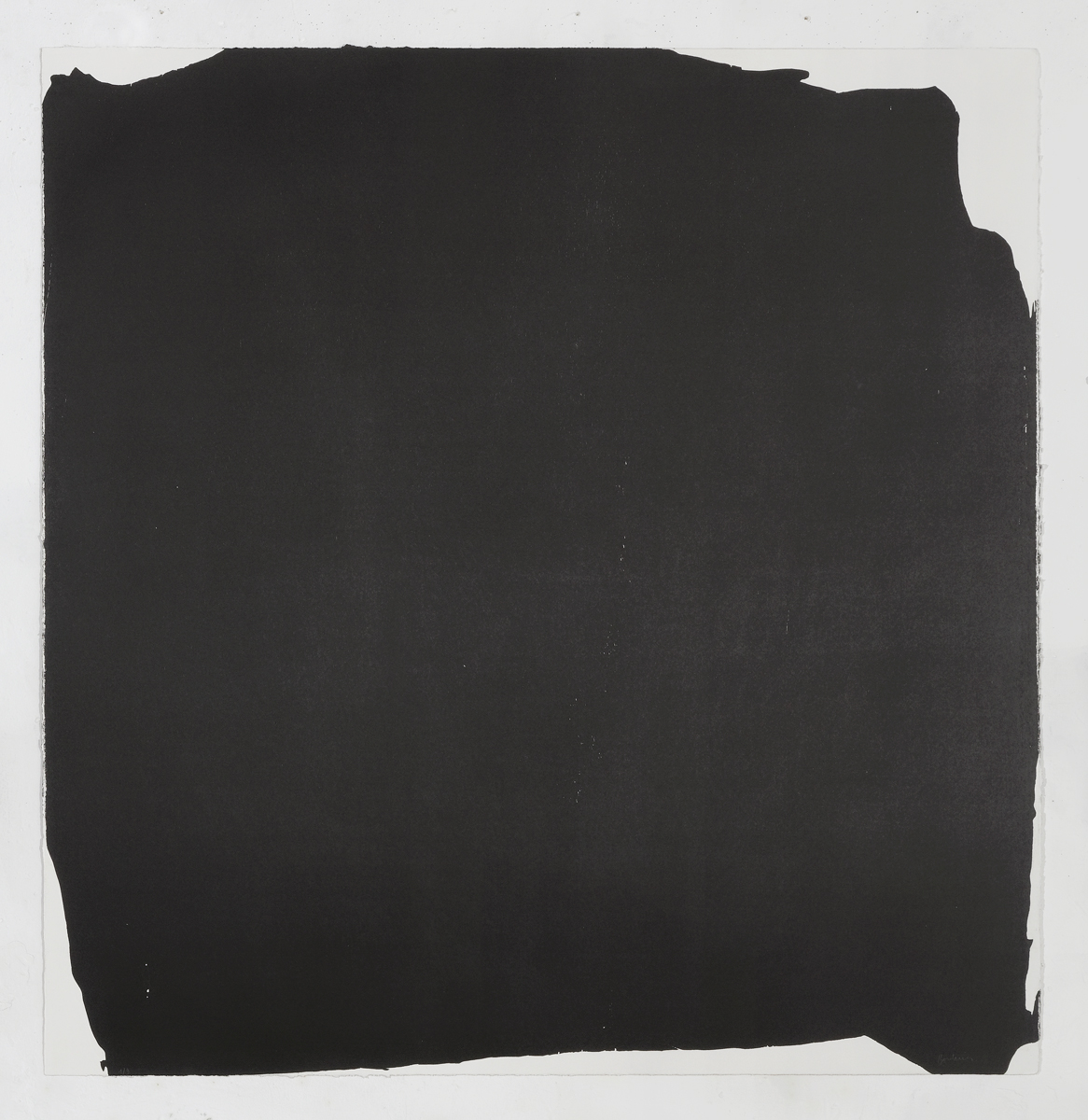 Jardin noir 2 by Stéphane Bordarier