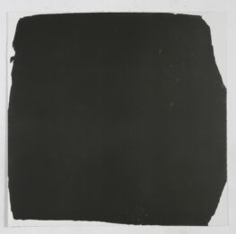 Jardin noir 1 by Stéphane Bordarier at Michael Woolworth
