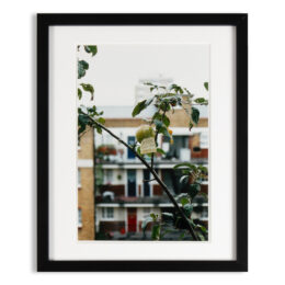 PLEASE leave this one by Wolfgang Tillmans at MLTPL
