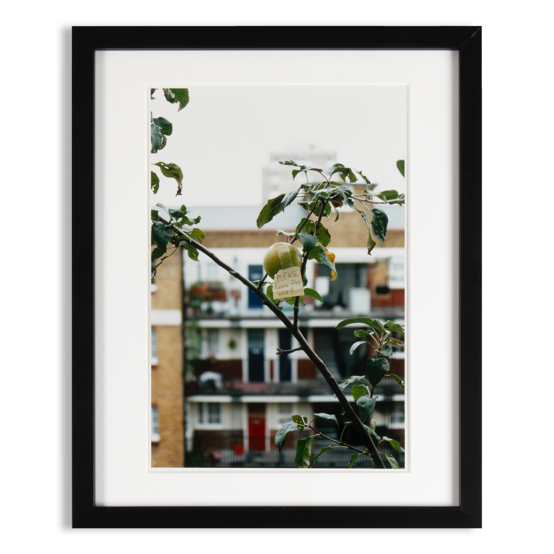 PLEASE leave this one by Wolfgang Tillmans