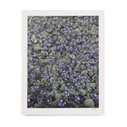 Purple Flowers by Danny Larsen at RedHouse Gallery
