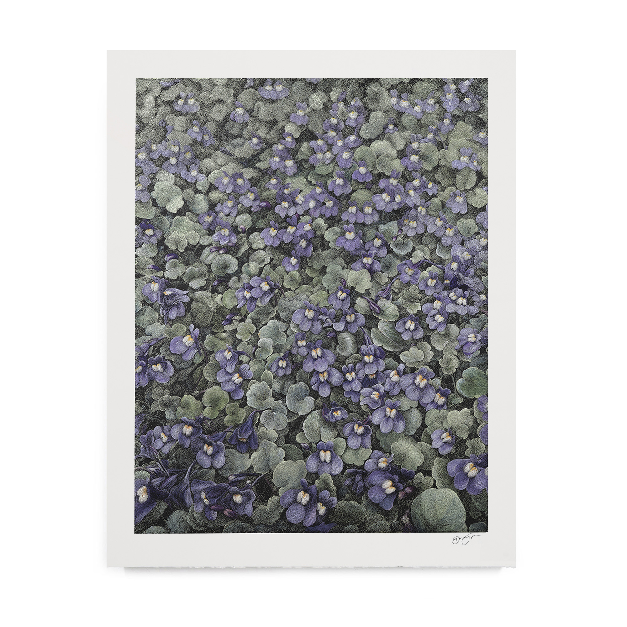 Purple Flowers by Danny Larsen