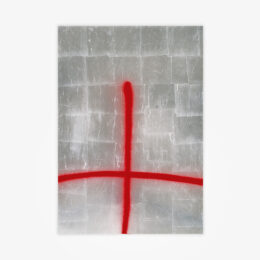 Two Lines (Faith) – Silver, IV by Stefan Brüggemann at JRP|Editions
