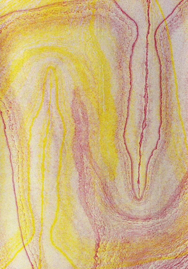 Screen Saver / Sandstone by Ben Cain