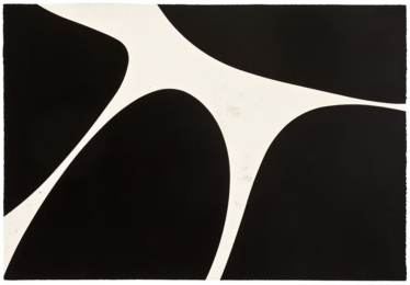 Dark Horse by Gary Paller at Wildwood Press